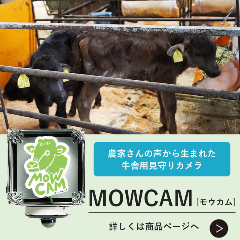 MOWCAMスマホ用バナー
			   