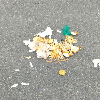 家の前にゴミを捨てられる