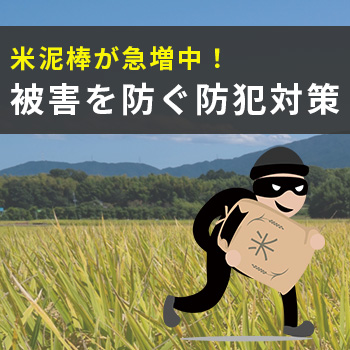 【米泥棒が急増中！】今すぐできる対策とカメラ設置で後悔しない備えを