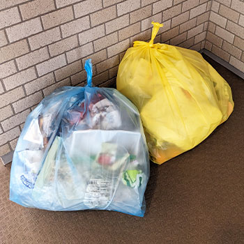 分別ルールを確認するため