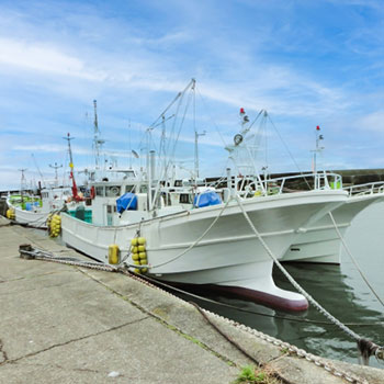 水揚げされた魚の盗難や漁港でのトラブルを防ぐために防犯カメラが活用できます