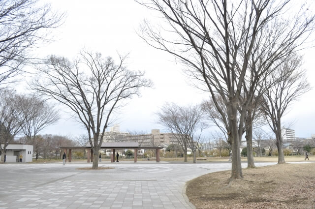 公園で防犯カメラをライブカメラとして使用