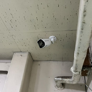 裏庭に設置した防犯カメラ