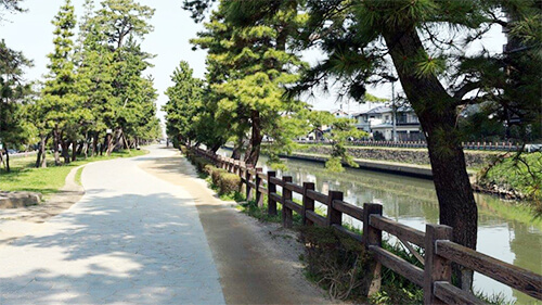 草加市の草加松原