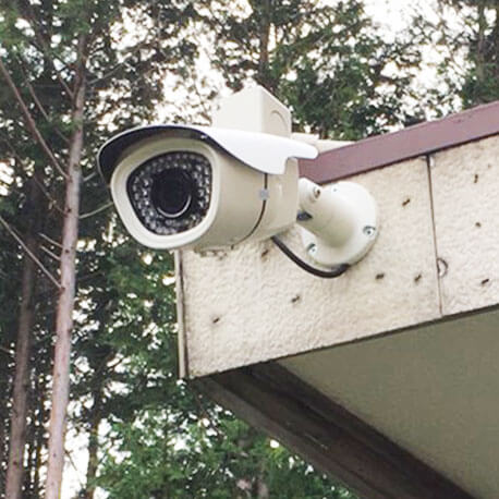 庭を監視する防犯カメラ