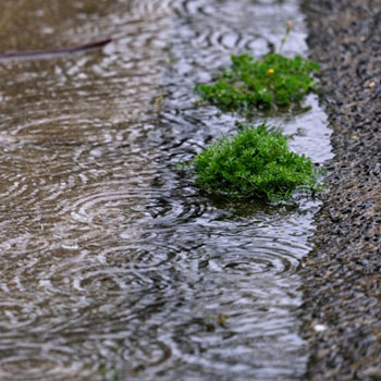 雨風に強い防犯カメラの設置