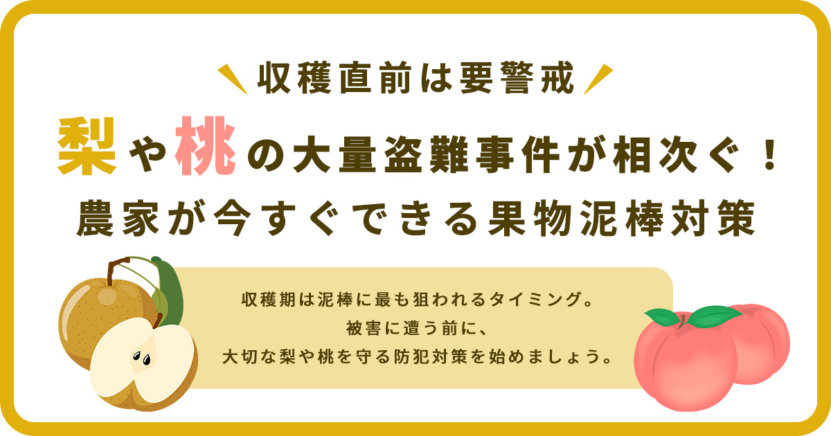 梨や桃の大量盗難事件が相次ぐ！農家が今すぐできる果物泥棒対策