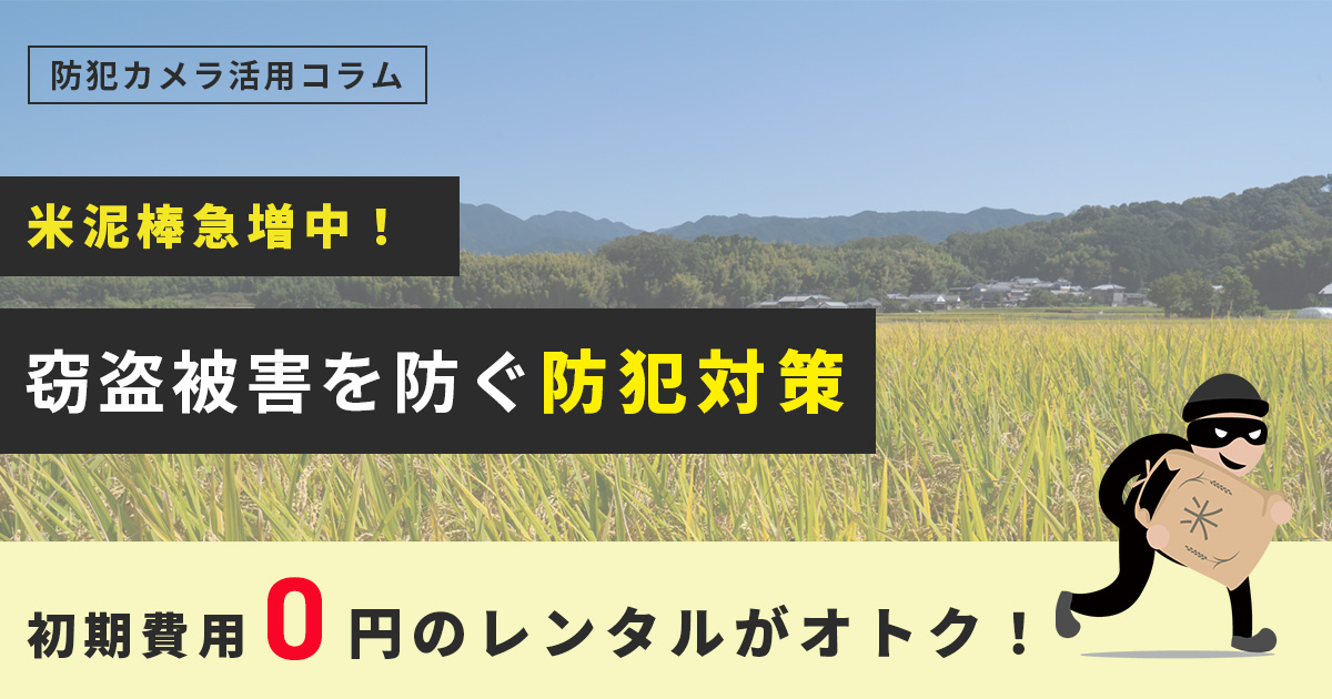 【米泥棒が急増中!】今すぐできる対策とカメラ設置で後悔しない備えを